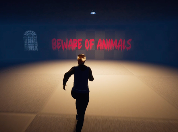 Animal Kingdom — visuel 3